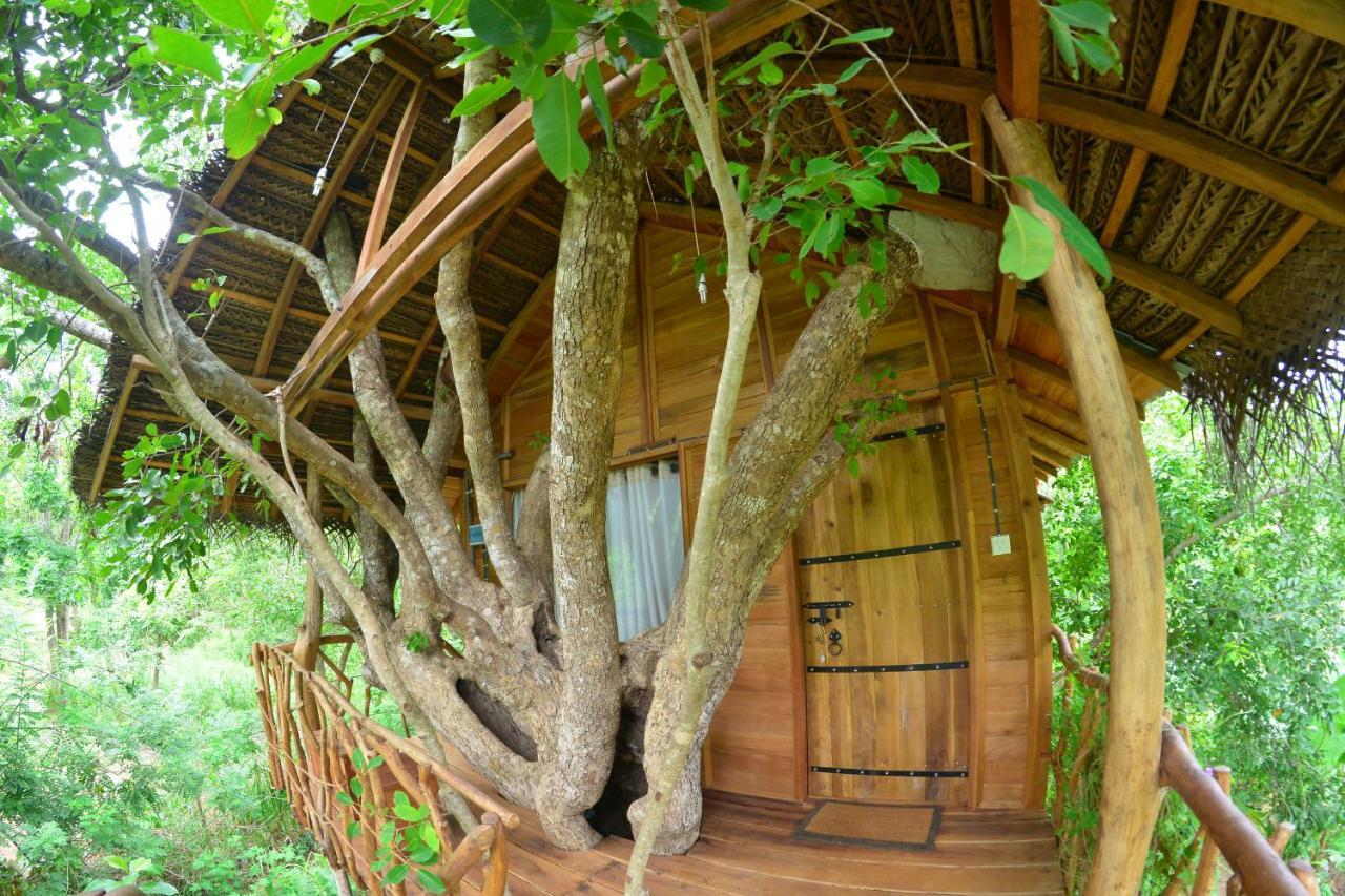 Habarana Tree House Ambasewana Resort Exterior foto